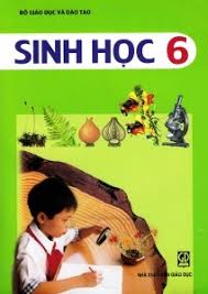 Đề cương ôn tập môn Sinh 6- trong thời gian HS nghỉ phòng dịch Covid-19